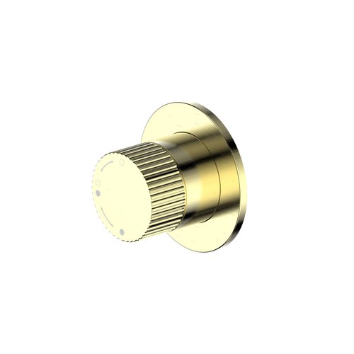 Brushed Brass Code Nature Piper Shower Diverter | Textured Handle