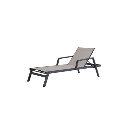 Grey Dotterel Sun Lounger