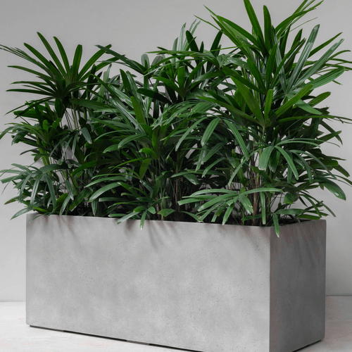 Concrete Duralite Trough