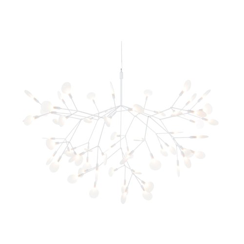 White Heracleum III Large