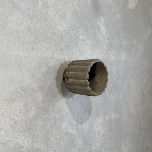 Moss Small Fluted Wall Light with Batten Holder