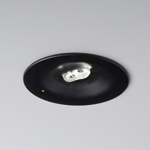 Black RAL9005 K9 Self Testing Emergency Light