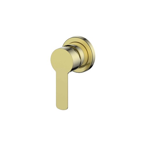 PVD Brushed Brass Astro II Shower Mixer With Mini Plate