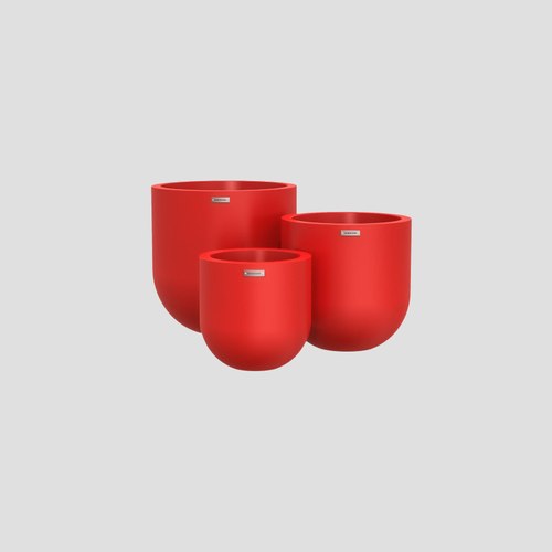 Apple Red Lisbon Cluster