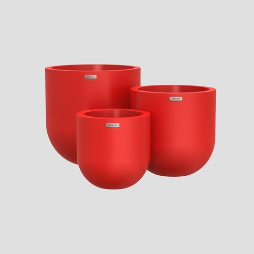 Apple Red Lisbon Cluster