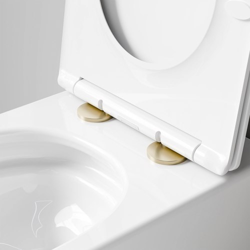 Brushed Brass Toilet Seat Hinge Covers | 57Ø mm