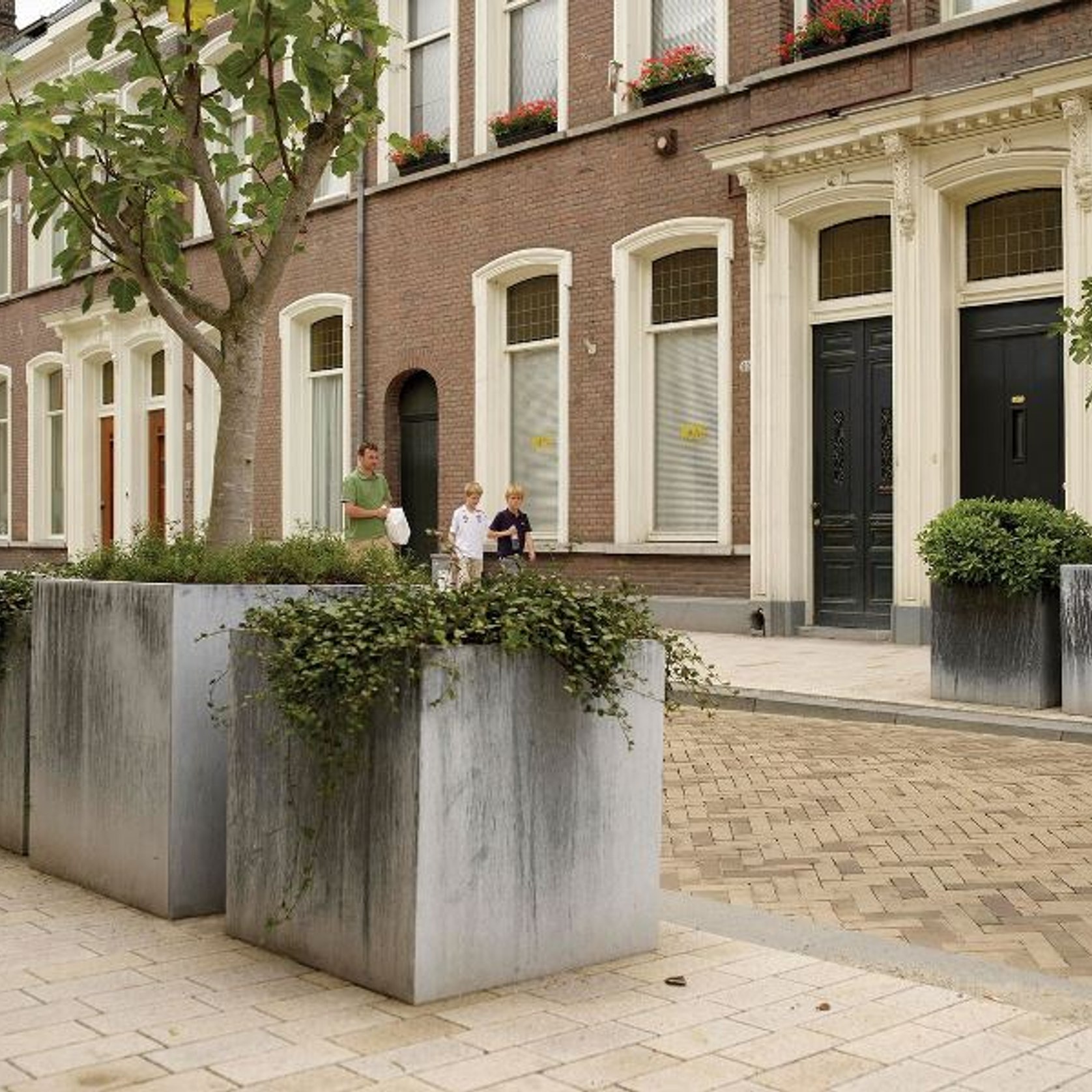 Zinc Cubic by Domani ArchiPro AU