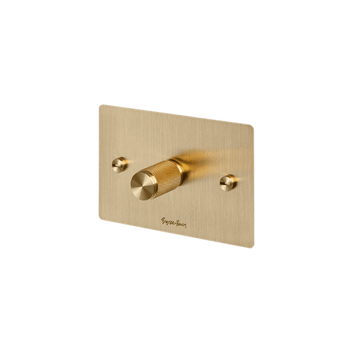 Brass Buster+Punch Dimmer Switch