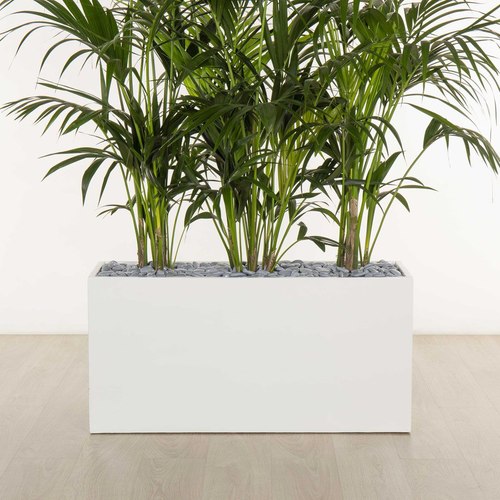 Gloss White Auchenflower Trough