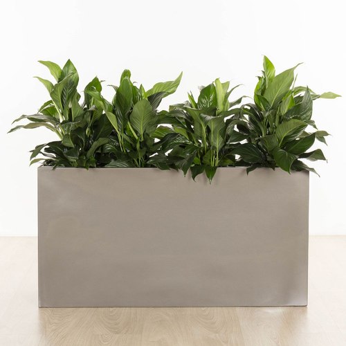 Gloss Charcoal Auchenflower Trough