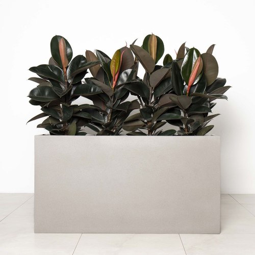 Grey Stone Auchenflower Trough