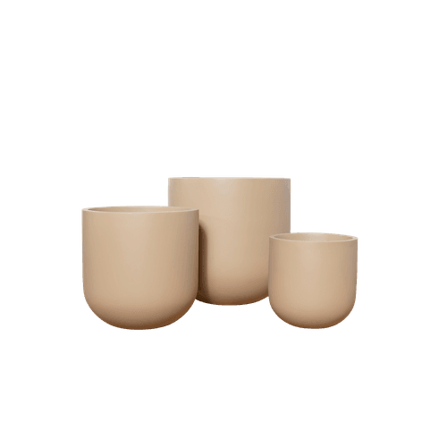Matte Ginger Tromso Cup