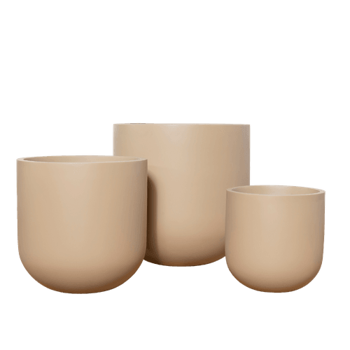 Matte Ginger Tromso Cup