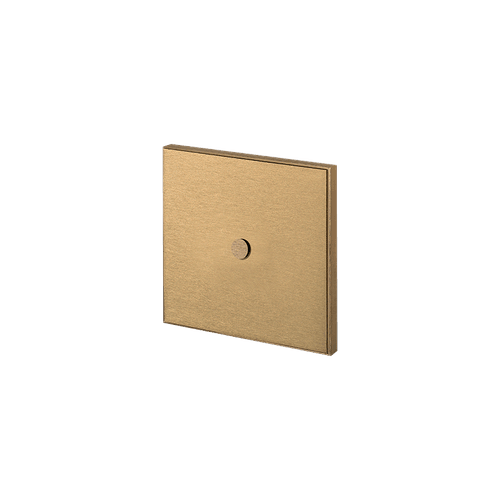 Brushed Brass PXTvr1 Residential and Commercial Wall Switches