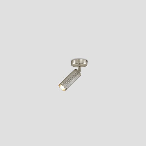 Satin Nickel Spot Ceiling Light