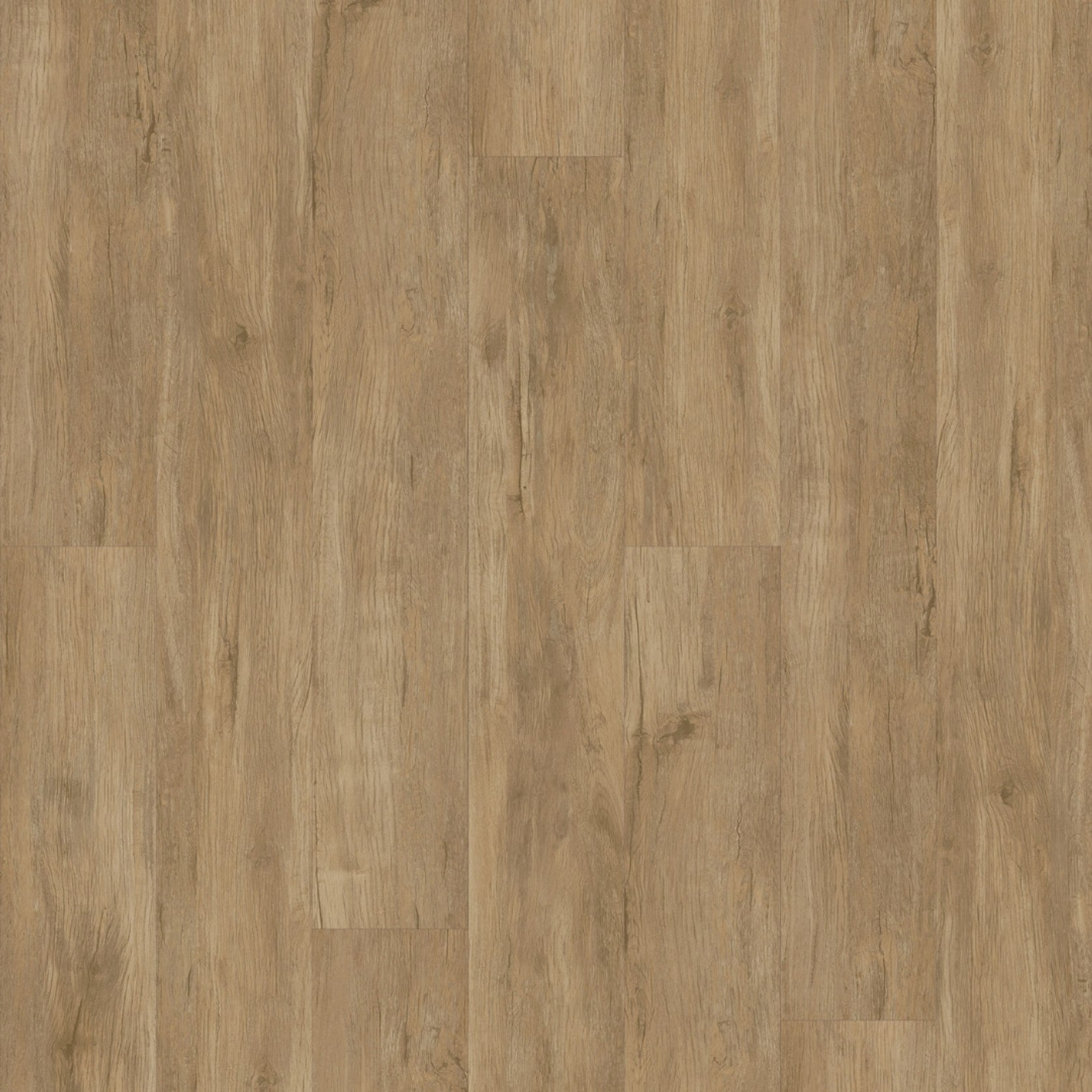 Essentials | Warm Barnyard Grey | ArchiPro AU