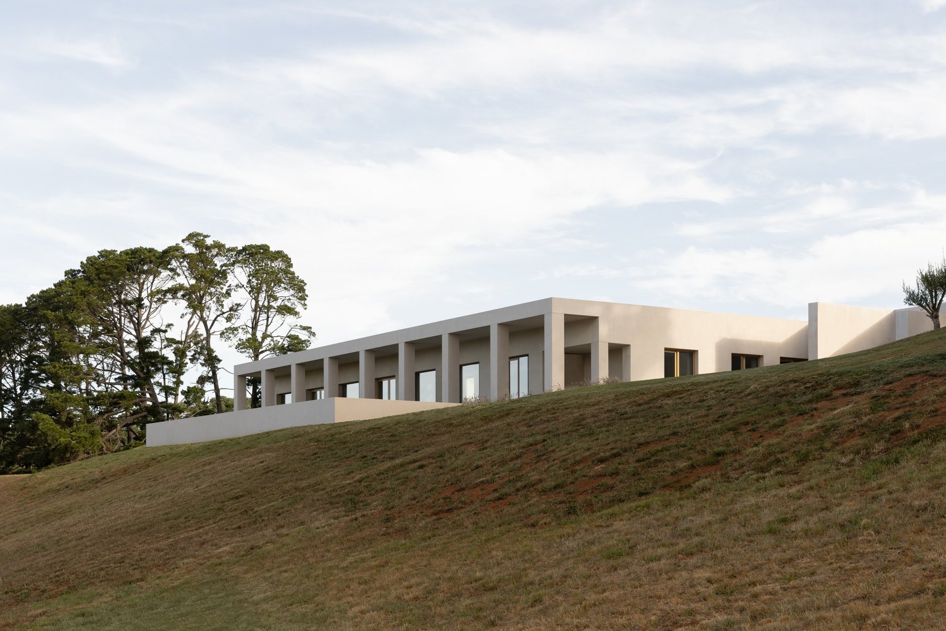 Davidov Architects