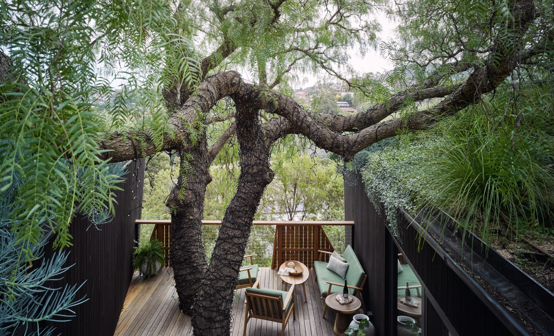 Pepper Tree Passive House