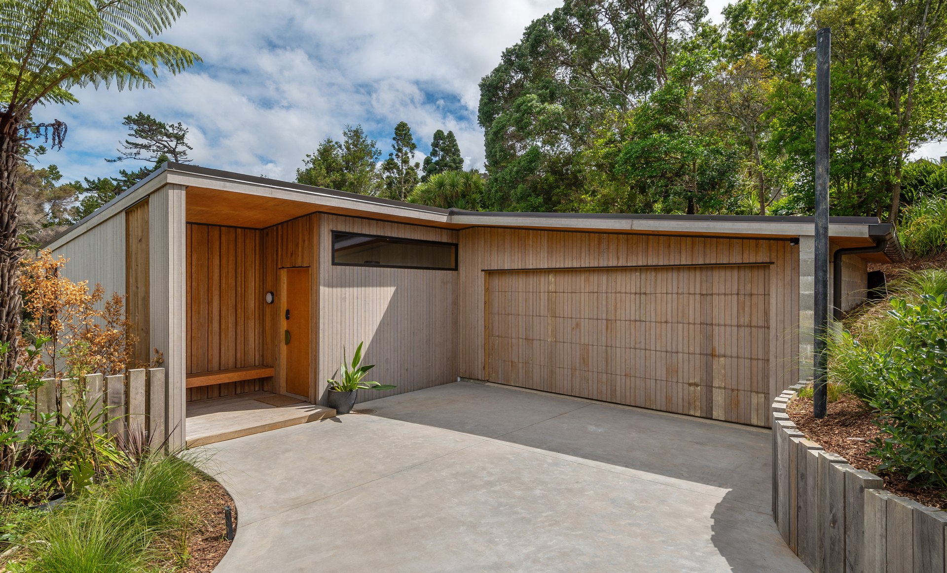 Kauri