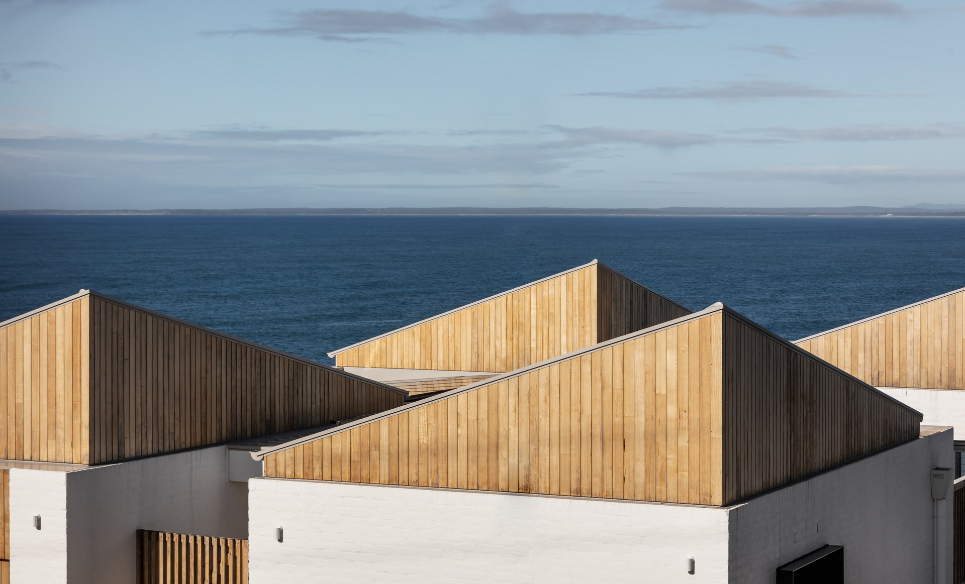 White & Timber House