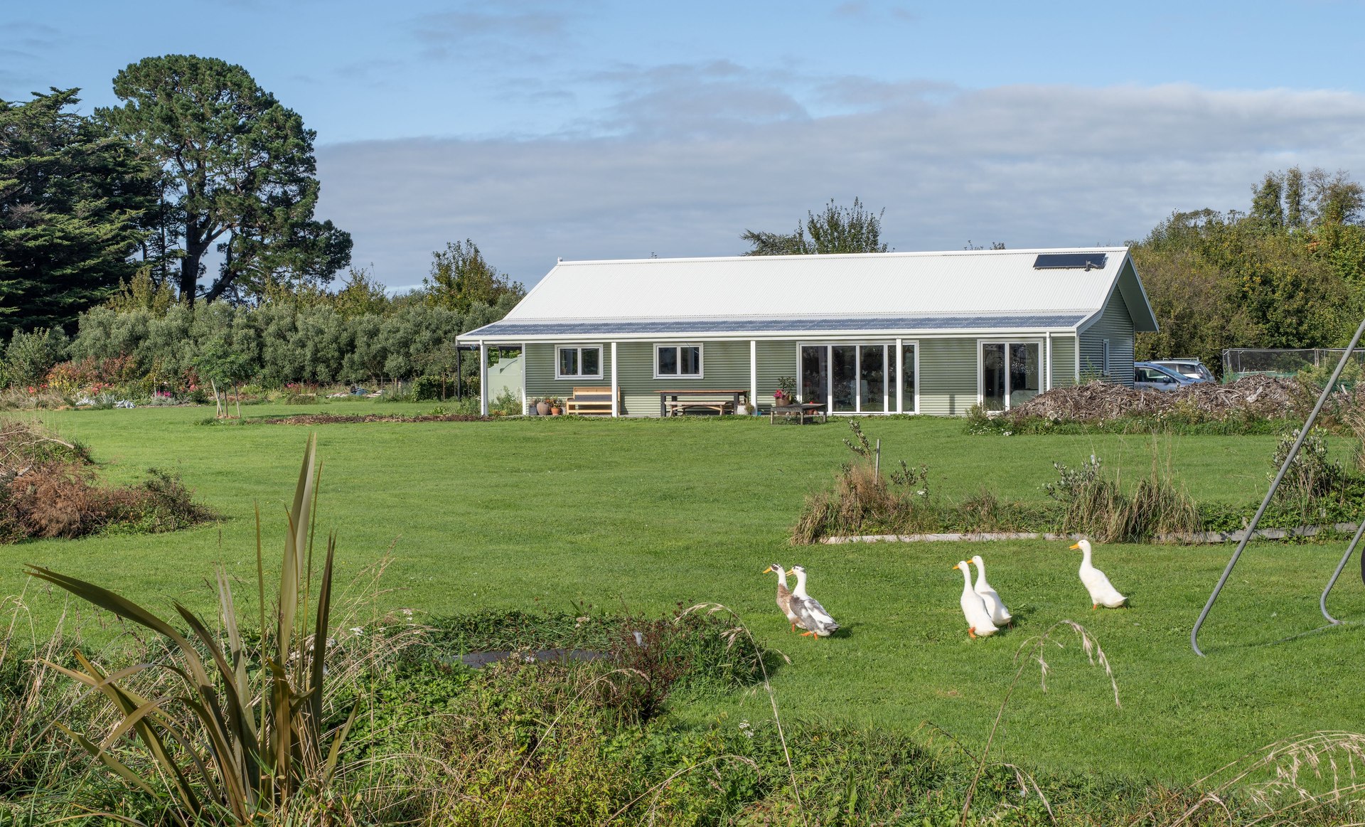 The White Home