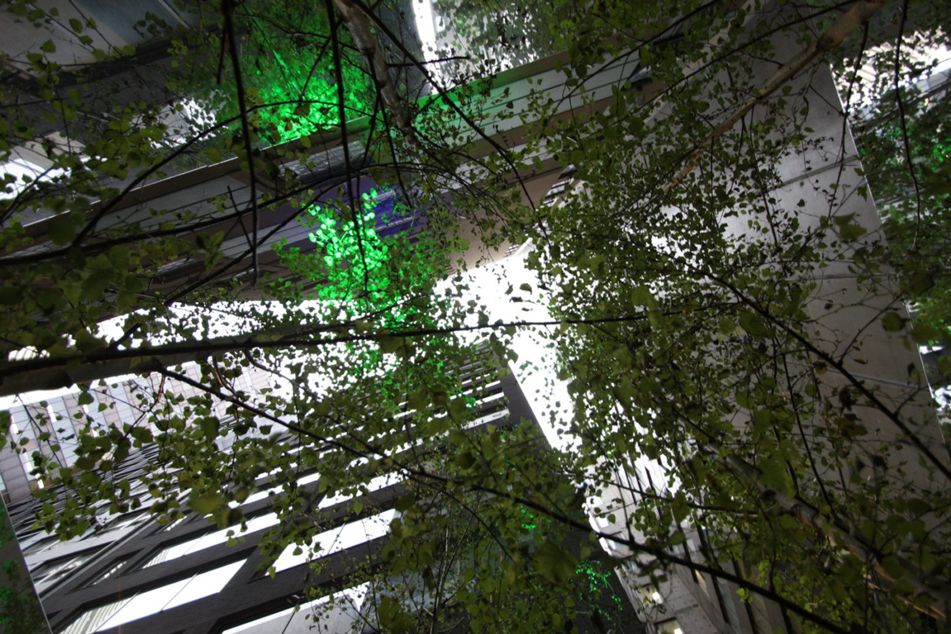 Infinity Forest by Scale Architecture | ArchiPro AU