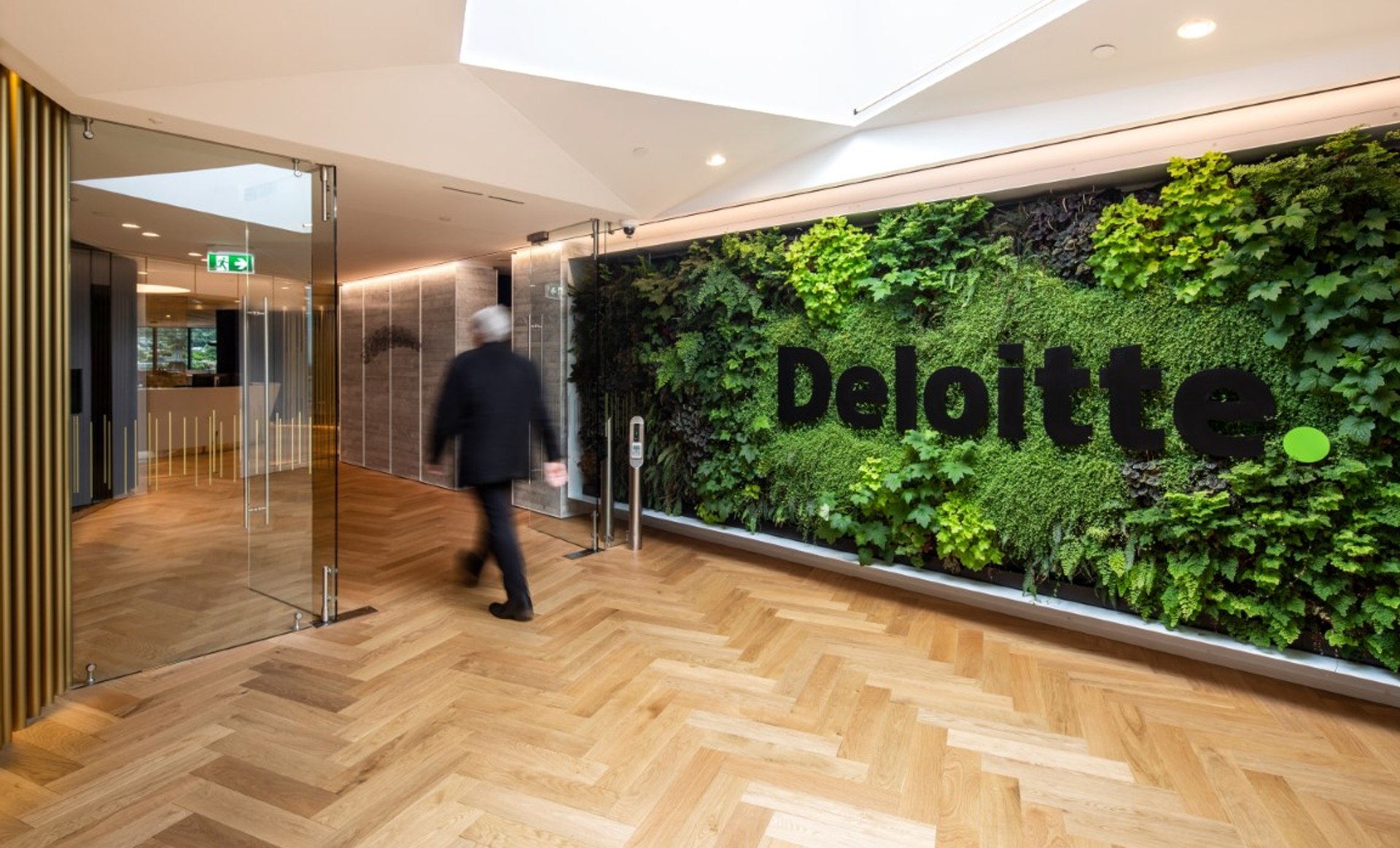Deloitte Dunedin