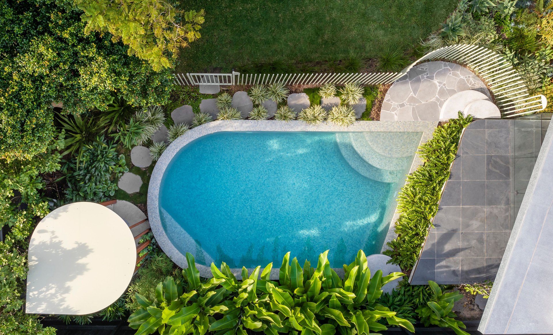 Totoro's Pool — Circular Elegance