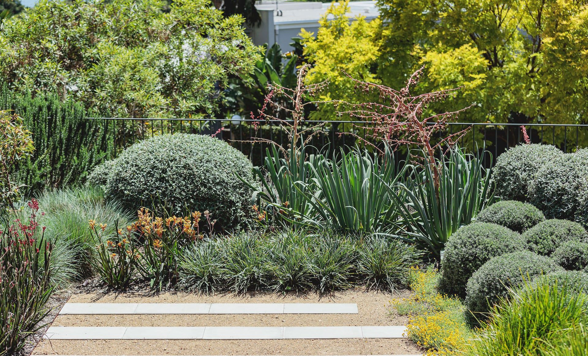 Bellevue Hill