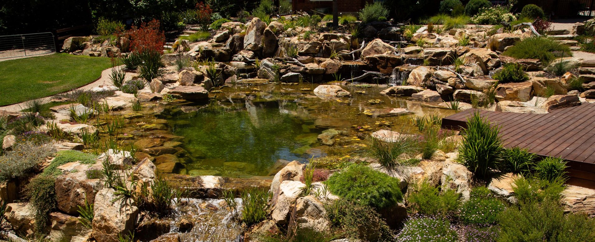 Photo inspiration: Gallery Detail: Crafers Aquatic Habitat By Sa Waterscapes