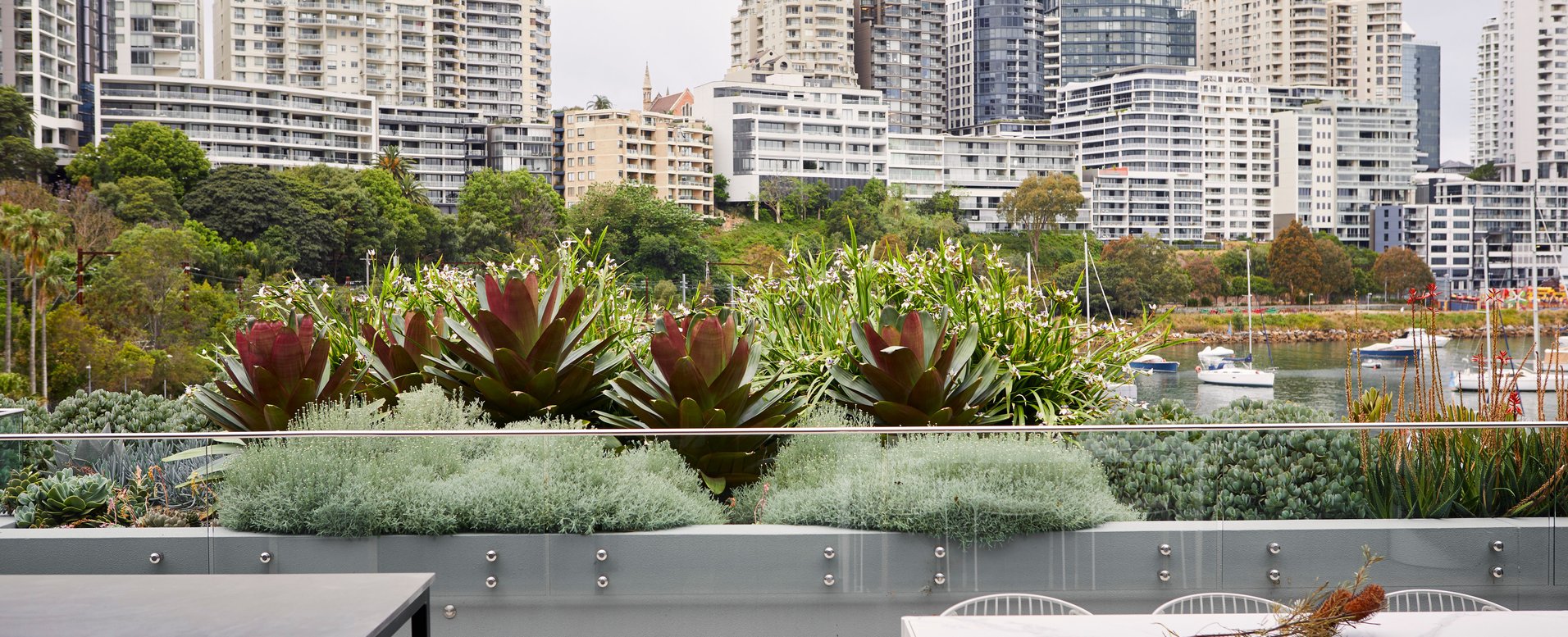 Lavender Bay Outdoor Establishments ArchiPro AU