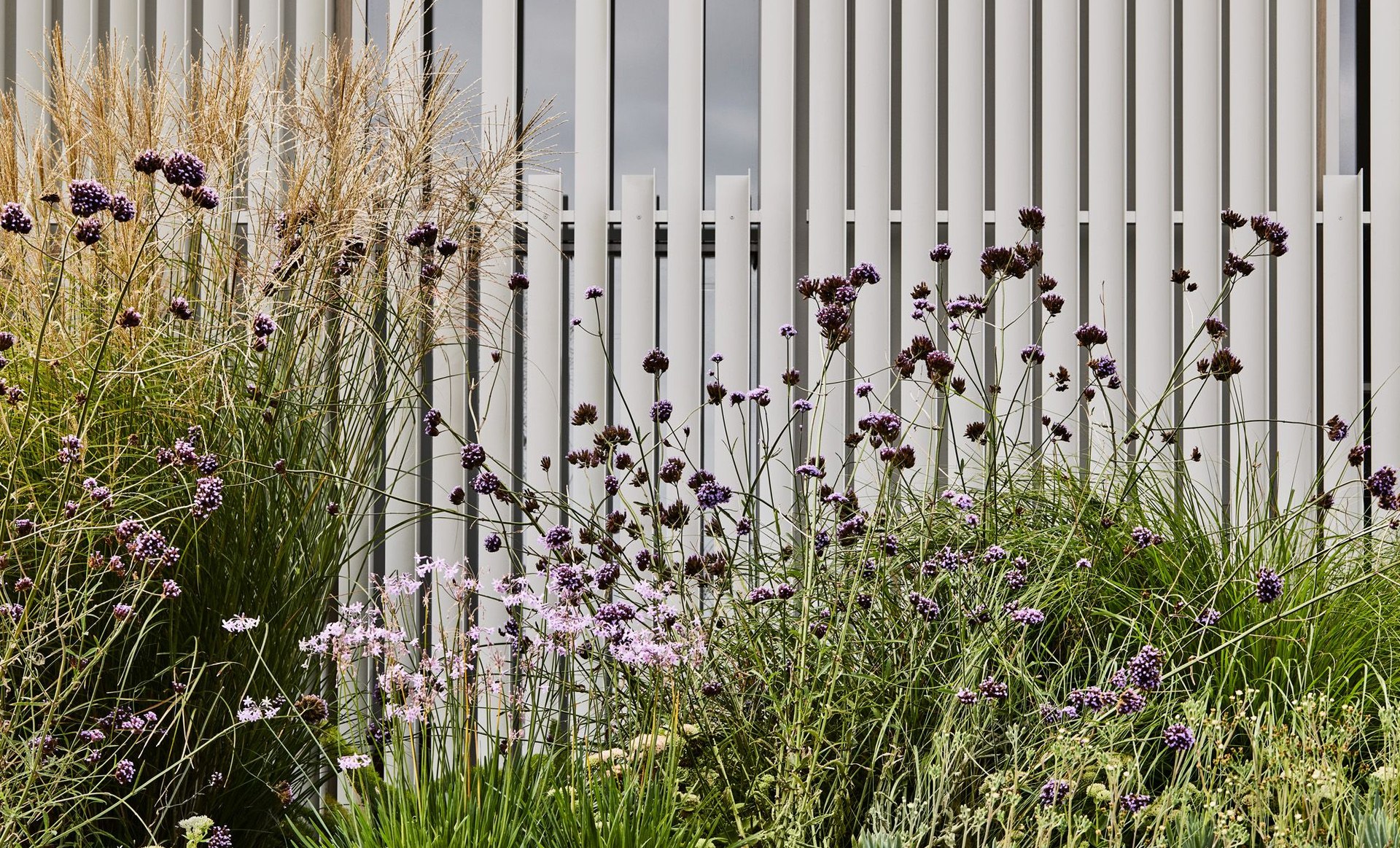 Brunswick East Residence